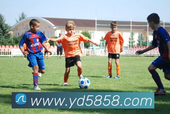 云顶国际服务体系